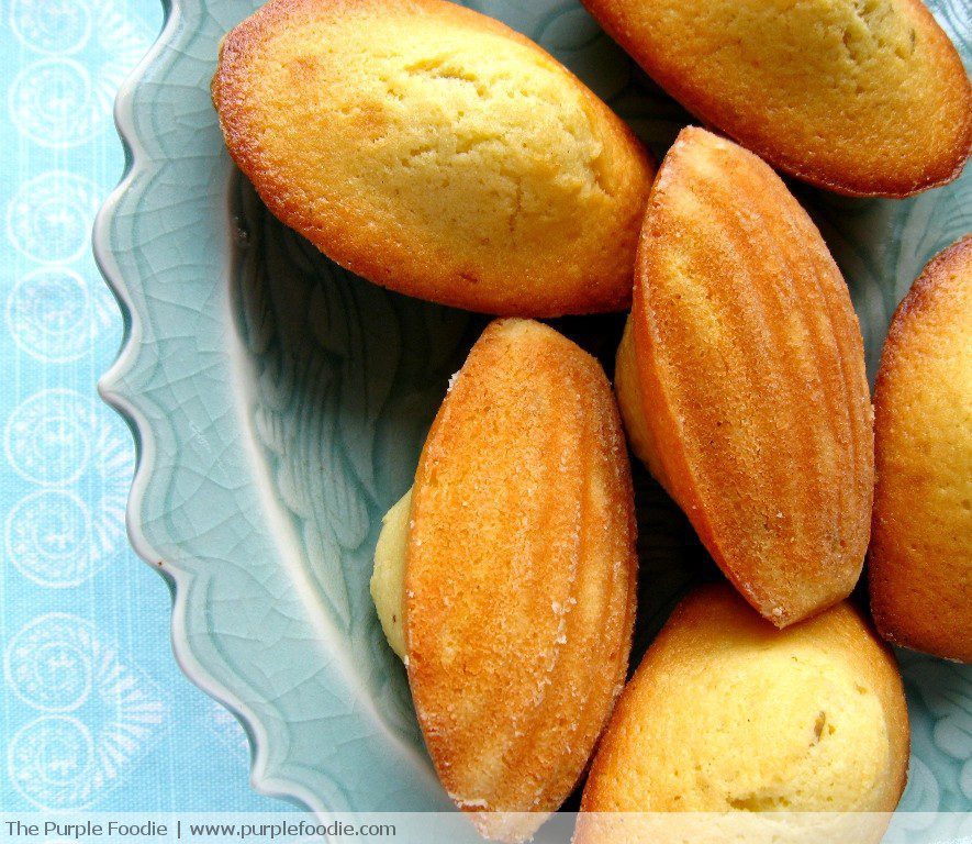 Easy Honey Lavender Madeleines 2025 | cake