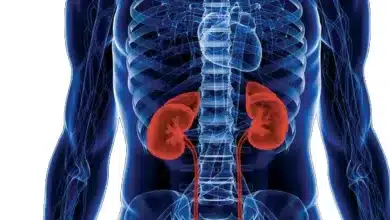 10 Deadly Habits Seriously Damaging Your Kidneys 2025 | Tips & Tricks