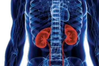10 Deadly Habits Seriously Damaging Your Kidneys
