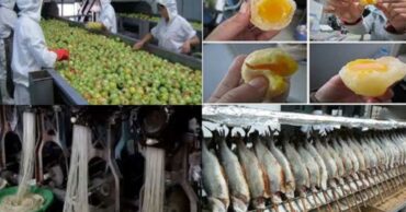 10 Foods Made in China That Are Filled With Plastic, Pesticides and Cancer Causing Chemicals
