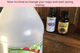 2 Ingredients Homemade Fabric Softener