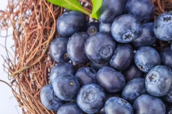 7 Reasons To Eat Blueberries and Why You Should Freeze Them!