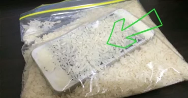 Drop Your Phone In Water? This Quick Fix Is Even Better Than Rice