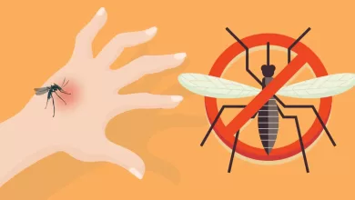 Here’s Why You’re A Mosquito Magnet 2025 | Tips & Tricks