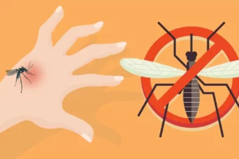 Here’s Why You’re A Mosquito Magnet