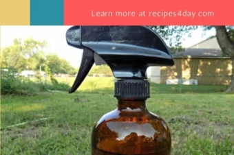 How Do You Make A Homemade Pesticide?