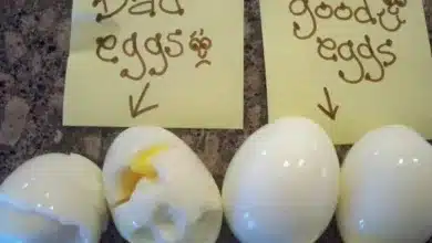 How to quickly peel a boiled egg in under 3 seconds 2025 | Tips & Tricks