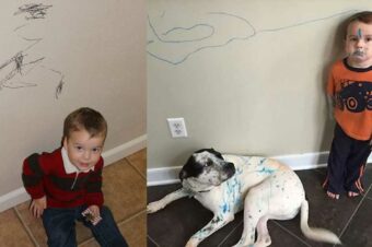 How to Remove Permanent Marker from Just About Anything