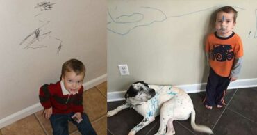 How to Remove Permanent Marker from Just About Anything