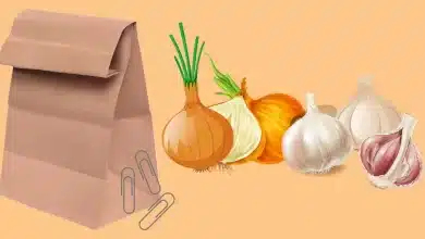 How To Store Your Onions and Garlic the Correct Way So They Last For Months 2025 | Tips & Tricks