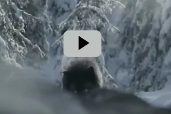 I Normally Don’t Care For TV Commercials, But This Is Easily The Best One I’ve Ever Seen