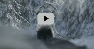 I Normally Don’t Care For TV Commercials, But This Is Easily The Best One I’ve Ever Seen