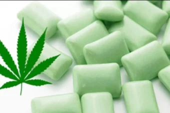 Marijuana Chewing Gum to Relieve Fibromyalgia Pain