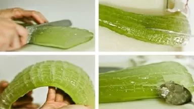 MIND BLOWING REASONS WHY ALOE VERA IS A MIRACLE MEDICINE PLANT. YOU WILL NEVER BUY EXPENSIVE PRODUCTS AGAIN!