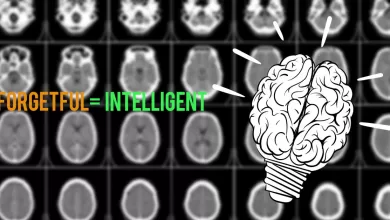 Scientists Say That Being Forgetful Is Actually A Sign You Are Unusually Intelligent 2025 | Tips & Tricks