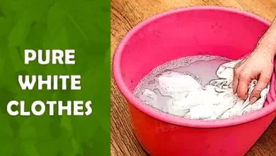 Simple Tricks to Make Your Clothes Pure White and Stainless 2025 | Tips & Tricks