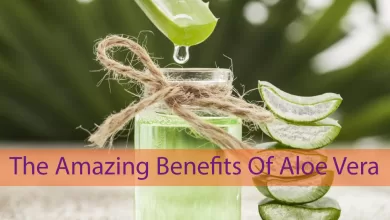 The Amazing Benefits Of Aloe Vera. Never Spend Money On Meds Again 2025 | Tips & Tricks