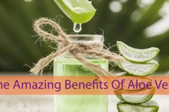 The Amazing Benefits Of Aloe Vera. Never Spend Money On Meds Again
