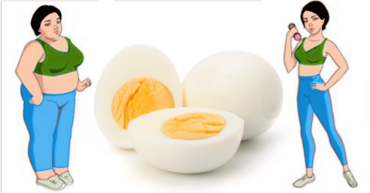 THE BOILED EGG DIET: LOSE UP 22 LBS N 14 DAYS