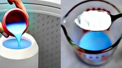 The mixture that will make your home smell so wonderful… your neighbors will envy you 2025 | Tips & Tricks