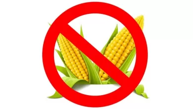 The Shocking Truth About Corn – 6 Reasons to Never Eat Corn Again 2025 | Tips & Tricks