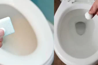 The Toilet Always Smells Fresh And Stays Clean. All You Need Is This