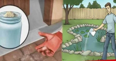 These are the reasons why you should spread salt around your home