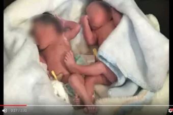 They Thought Puppies Were Crying Until They Looked In Bush And Saw Newborn Twins