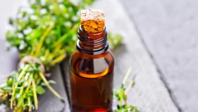Top 6 Benefits Of Thyme Spice & Thyme Oil 2025 | Tips & Tricks