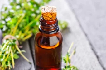 Top 6 Benefits Of Thyme Spice & Thyme Oil