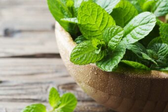 Twelve Reasons Why You Need To Grow Peppermint At Home And How To Do It