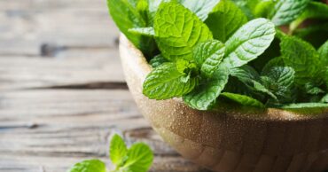 Twelve Reasons Why You Need To Grow Peppermint At Home And How To Do It