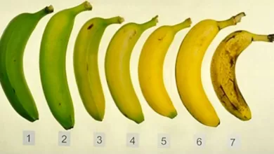 Which Banana Would You Eat? Your Answer May Have An Effect On Your Health 2025 | Tips & Tricks