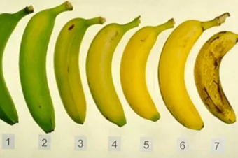 Which Banana Would You Eat? Your Answer May Have An Effect On Your Health