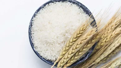 Why You Need to Skip the Rice to Stop Diabetes 2025 | Tips & Tricks