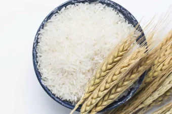 Why You Need to Skip the Rice to Stop Diabetes