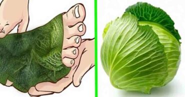 Wrap Your Leg With Cabbage For 1 Hour and Say Goodbye To Your Joint Pain