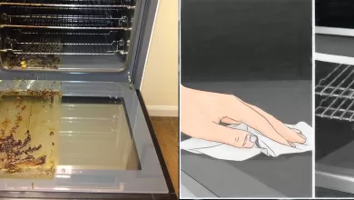 You’ve Been Cleaning Your Oven Wrong All This Time 2025 | Tips & Tricks
