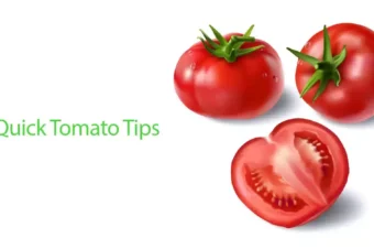 You’ve Been Storing Tomatoes Wrong All These Years!